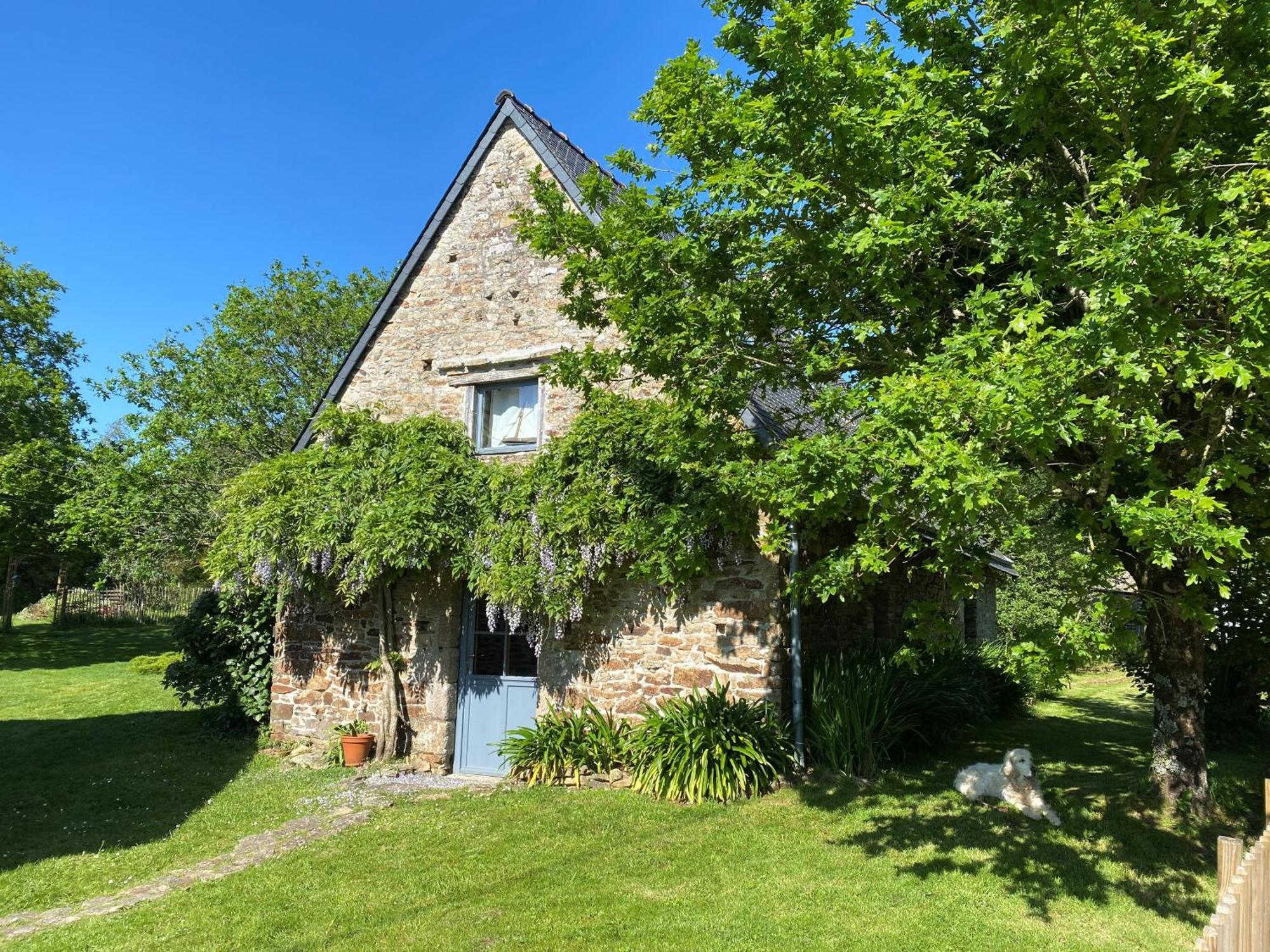 Holiday home La Glycine *